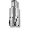 Image de FEIN 63127321010, Fraise carbure Ultra 50 Weldon 3/4", Ø57x50mm, Accessoire Outil de Coupe, pour tous types de supports, Durée de vie maximale et Efficacité Exceptionnelle