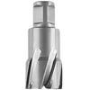 Image de FEIN 63127327010, Fraise carbure Ultra 50 Weldon 3/4", Ø63x50mm, Accessoire Outil de Coupe, pour tous types de supports, Durée de vie maximale et Efficacité Exceptionnelle