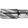 Image de FEIN 63134200052, Fraise HSS Nova, 50, emmanchement QuickIN, Ø20x50 mm, en Acier, pour une coupe précise et efficace, Fraise à Haute Vitesse, Accessoire Outil de Coupe, pour tous types de supports