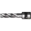 Image de FEIN 63133219051, Fraise HSS Nova, 25, emmanchement QuickIN, Ø22x25 mm, en Acier, pour une coupe précise et efficace, Fraise à Haute Vitesse, Accessoire Outil de Coupe, pour tous types de supports