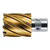 Image de FEIN 63133240067, Fraise HSS Dura 25 emmanchement QuickIN, Ø24x25mm, pour une coupe précise et efficace, Fraise à Haute Vitesse, Accessoire Outil de Coupe, pour tous types de supports
