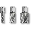 Image de FEIN 63134170301, Fraise HSS Nova, 25, Spéciale multi couches Weldon 3/4 ", Ø17x25 mm, en Acier, pour une coupe précise et efficace, Fraise à Haute Vitesse, Accessoire Outil de Coupe