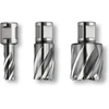 Image de Fein Fraise HSS SPECIAL 25 avec porte-outil Weldon 3/4 in, Ø perçage 26 mm, Profondeu
