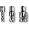 Image de FEIN 63134280301, Fraise HSS Nova, 25, Spéciale multi couches Weldon 3/4 ", Ø28x25 mm, en Acier, pour une coupe précise et efficace, Fraise à Haute Vitesse, Accessoire Outil de Coupe