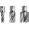 Image de FEIN 63134320301, Fraise HSS Nova, 25, Spéciale multi couches Weldon 3/4 ", Ø32x25 mm, en Acier, pour une coupe précise et efficace, Fraise à Haute Vitesse, Accessoire Outil de Coupe
