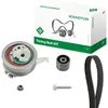 Image de INA Kit de distribution 530 0665 10 30,2mm Compatible avec VW Polo V 3/5 portes 6R1, 6C1, AUDI A1 Sportback 8XA, 8XK A1 3/5 portes 8X1, 8XK, SKODA FABIA NJ3 FABIA Break NJ5 Rapid Spaceback NH1