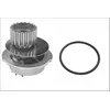 Image de INA 538 0697 10 Pompe à eau Nombre de dents: 19 Compatible avec CHEVROLET Aveo/Kalos Berline T250, T255, DAEWOO LANOS KLAT