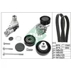 Image de INA Jeu de courroies trapézoïdales à nervures 529 0053 10 1540mm Poulie de renvoi excl. Compatible avec BMW 3 Berline E46 3 Coupé E46 5 Berline E39 3 Touring E46 X5 E53 5 Touring E39
