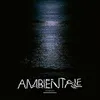 Image de Ambientale