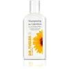 Image de Dr. Theiss Shampoing au Calendula | Tous types de cheveux | Douceur et Protection | Usage fréquent, 200 ml
