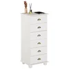 Image de IDIMEX Chiffonnier Colmar Commode apothicaire avec 6 tiroirs de Rangement, en pin Massif lasuré Blanc