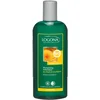 Image de Logona - 1003shavol - Soin et Beauté du Cheveu - Shampooing Volumateur au Miel et à la Bière BIO - 250 ml