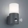Image de Trio Lighting Petite applique d’extérieur Hossic avec détecteur