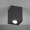 Image de Trio Lighting Plafonnier Biscuit, à 1 lampe, noir