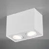 Image de Trio Lighting Plafonnier Biscuit à 2 lampes, blanc