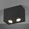 Image de Trio Lighting Plafonnier Biscuit à 2 lampes, noir