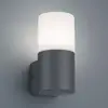 Image de Trio Lighting Applique d'extérieur Hoosic à 1 lampe, anthracite