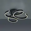 Image de Trio Lighting Plafonnier LED Francis, anthracite