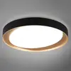 Image de Reality Leuchten Plafonnier LED Zeta tunable white, noir/doré