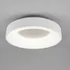 Image de Trio Lighting Plafonnier LED Corbie, Switch-Dim, blanc
