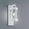 Image de Trio Lighting Applique d'extérieur Sambesi à détecteur, blanc