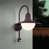 Image de Trio Lighting Applique d'extérieur à capteur NORMAN, rouille, Ø 30 cm Métal/verre IP44