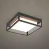 Image de Trio Lighting Plafonnier d'extérieur LED Witham IP54, CCT, anthracite
