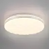 Image de Reality Leuchten Plafonnier LED Tiger RVB CCT effet Starlight