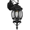 Image de Trio Lighting Elvo applique 1xE27 IP44 noir mat - 206960132