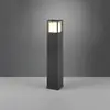 Image de Trio Lighting Borne lumineuse LED Witham, hauteur 80 cm, anthracite, CCT, IP54