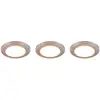 Image de Trio Lighting Downlight LED Argus RGBW télécommande x3 chromé