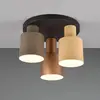 Image de Trio Lighting Plafonnier Agudo, multicolore, à 3 lampes, rond