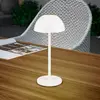 Image de Reality Leuchten Lampe de table LED rechargeable Ricardo, blanc, hauteur 30 cm, plastique