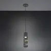 Image de Trio Lighting Suspension Stream, noir, Ø 8 cm, métal, GU10