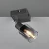 Image de Reality Leuchten Spot pour plafond Cadiz, à 1 lampe, E14, anthracite