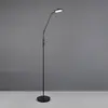 Image de Reality Leuchten Lampadaire à LED rechargeables Moreno, noir mat, CCT, intensité variable