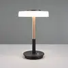 Image de Trio Lighting Lampe de table LED Celeste blanc/marron 35 cm verre/métal Touchdim