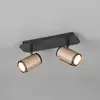 Image de Trio Lighting Spot pour plafond Gillan, café, à 2 lampes, métal, GU10