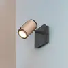 Image de Trio Lighting Spot pour plafond Gillan, café, à 1 lampe, métal, GU10
