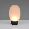 Image de Trio Lighting Lampe à poser rechargeable LED Facette, ambre, USB, verre