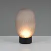 Image de Trio Lighting Lampe à poser rechargeable LED Facette, gris fumé, USB, verre