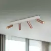 Image de Trio Lighting Spot LED pour plafond Ambala, longueur 65 cm, gris/marron, à 4 lampes.