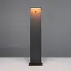 Image de Trio Lighting Bornes lumineuses LED Ravi, anthracite, hauteur 100 cm, capteur, IP54