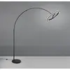 Image de Trio Lighting Lampadaire LED Amador, noir, hauteur 205 cm Métal