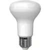 Image de Müller-Licht Müller Licht réflecteur LED E27 10W 2700K R63 Ra90