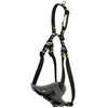 Image de Kerbl Pet Harnais pour Voiture Noir, 50-65 cm, 20 mm
