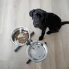 Image de Kerbl Mangeoires danimaux de compagnie avec support 2x28 L 43cm Noir 445244