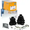 Image de SPIDAN Jeu de soufflets (arbre d'entraînement) 25372 Compatible avec: FORD FIESTA VI, FIESTA VI Van