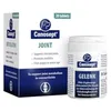 Image de Canosept Comprimés articulaires pour Chiens - Moules Vertes, glucosamine et oméga-3 - Protection des articulations et des os pour Chiens - Excellente tolérance - Arthrose pour Chiens - 20 comprimés