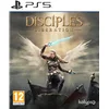 Image de Disciples Liberation (PlayStation 5)